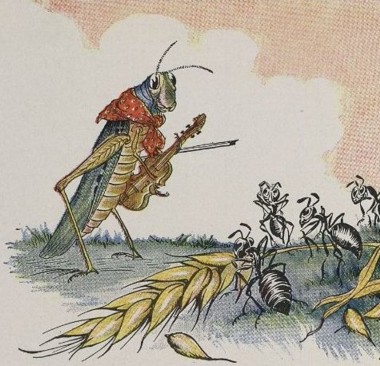 ant grasshopper nhMMf 16988