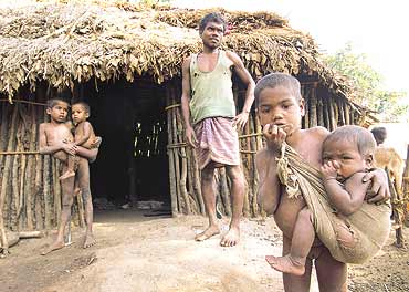 bolangir poor family pZIF2 26739