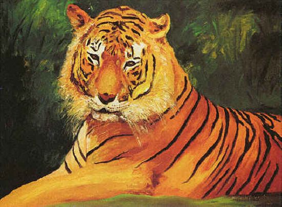 indian tiger might just be left in pictures