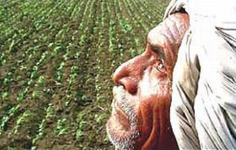 indian farmer suicides 11542 oHaaG 6943