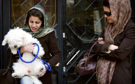 iranian woman and dog b4nNS 16105