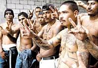 mexican gangs w5LUy 18311
