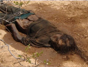 mexicandead2 ElqF1 18311