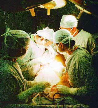 organ transplantation 246