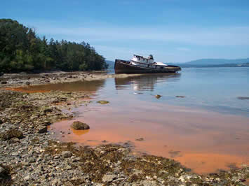 red tide 2 1Feog 16638