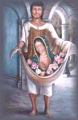 saints juandiego tNnHy 18311