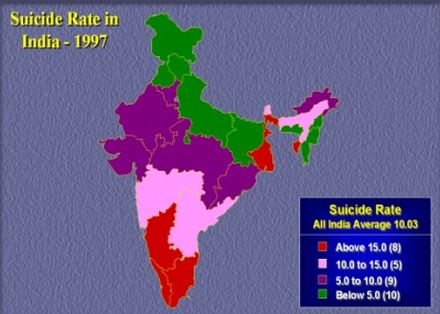 suicide rate11 26