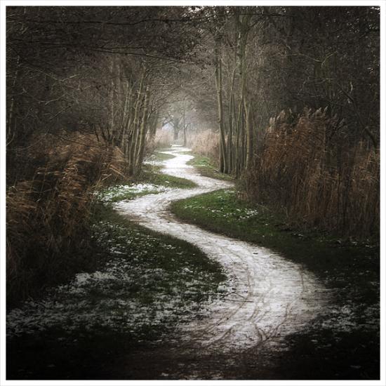 the white path     by mosredna VAs9K 6943
