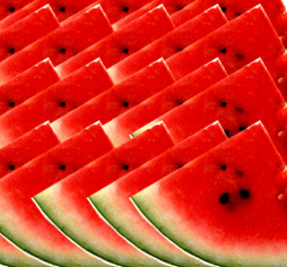 watermelons 9GTGf 19282