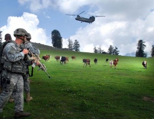 US_soldiers_with_cows_in_Kunar_Povince_of_Afghanistan