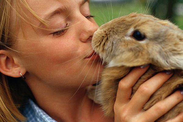 RABBIT AND LADY