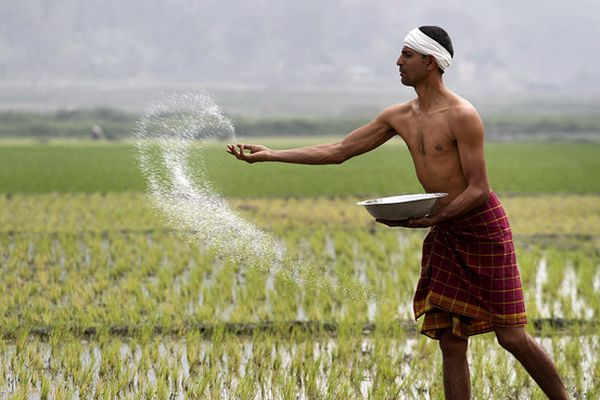 small farmer in india