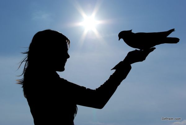 Silhouettes of girl and pigeon