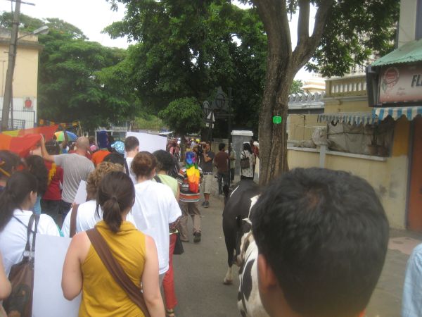 Bangalore_Gay_Pride_Parade_(30)