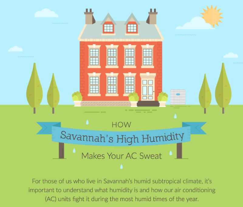 Savannah’s High Humidity