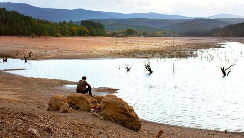 The Wild Pear Tree by Nuri Bilge Ceylan