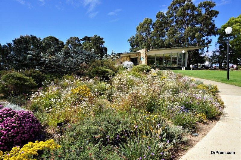 kings park and botanic garden australia
