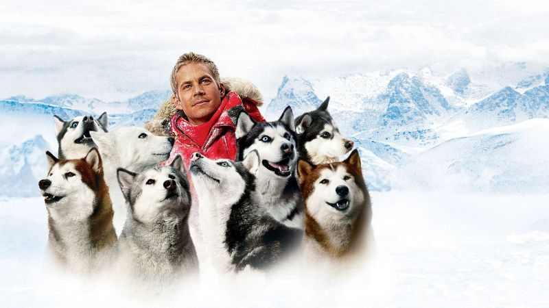 Eight Below