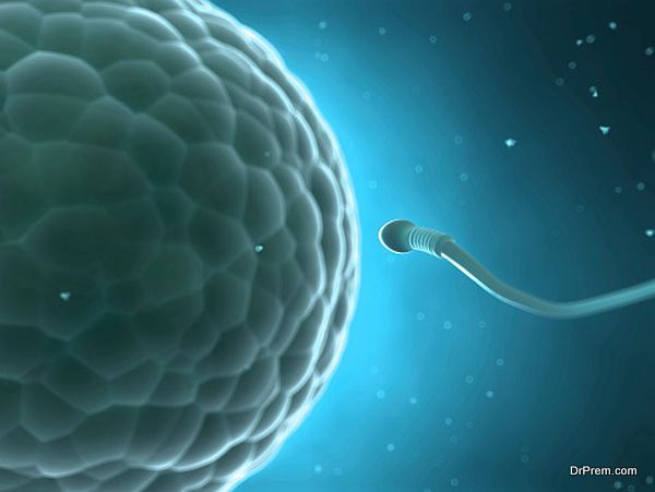 Father’s sperm can pick up stress messages
