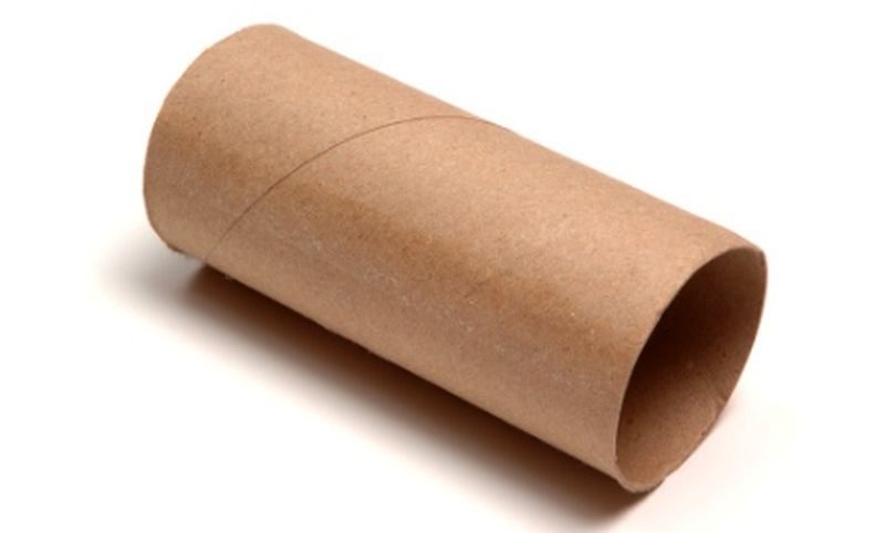toilet paper roll 