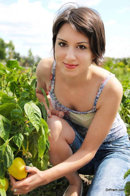 Vegetable-Garden