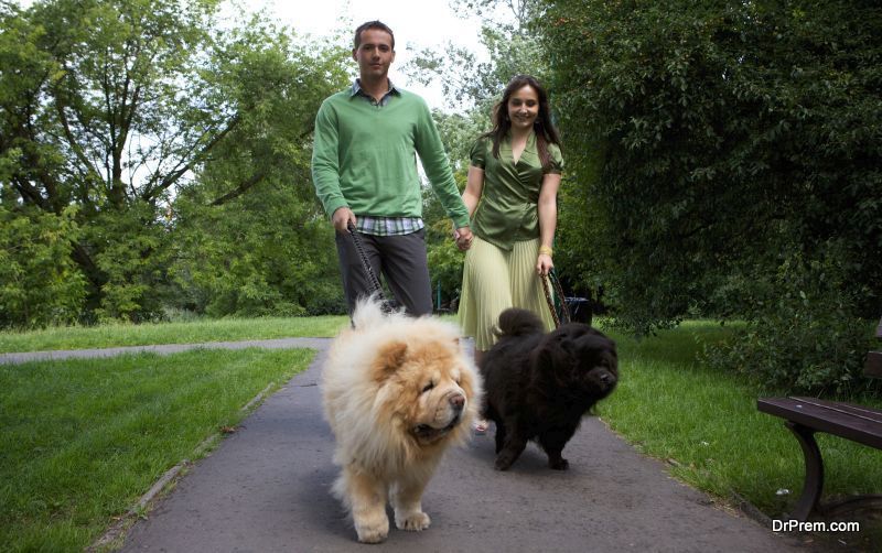 health benefits associated with regular dog walking