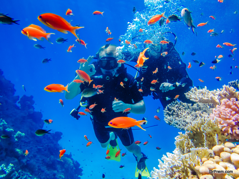 spend your days scuba diving off the coast of Jeddah